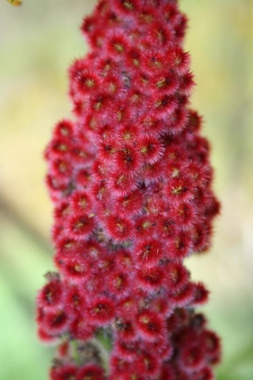 029