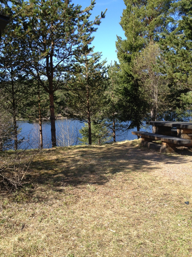 20120506-113018.jpg
