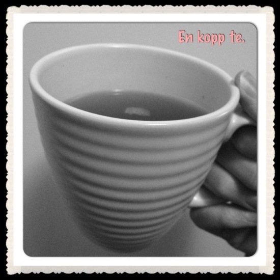20121117-174210.jpg