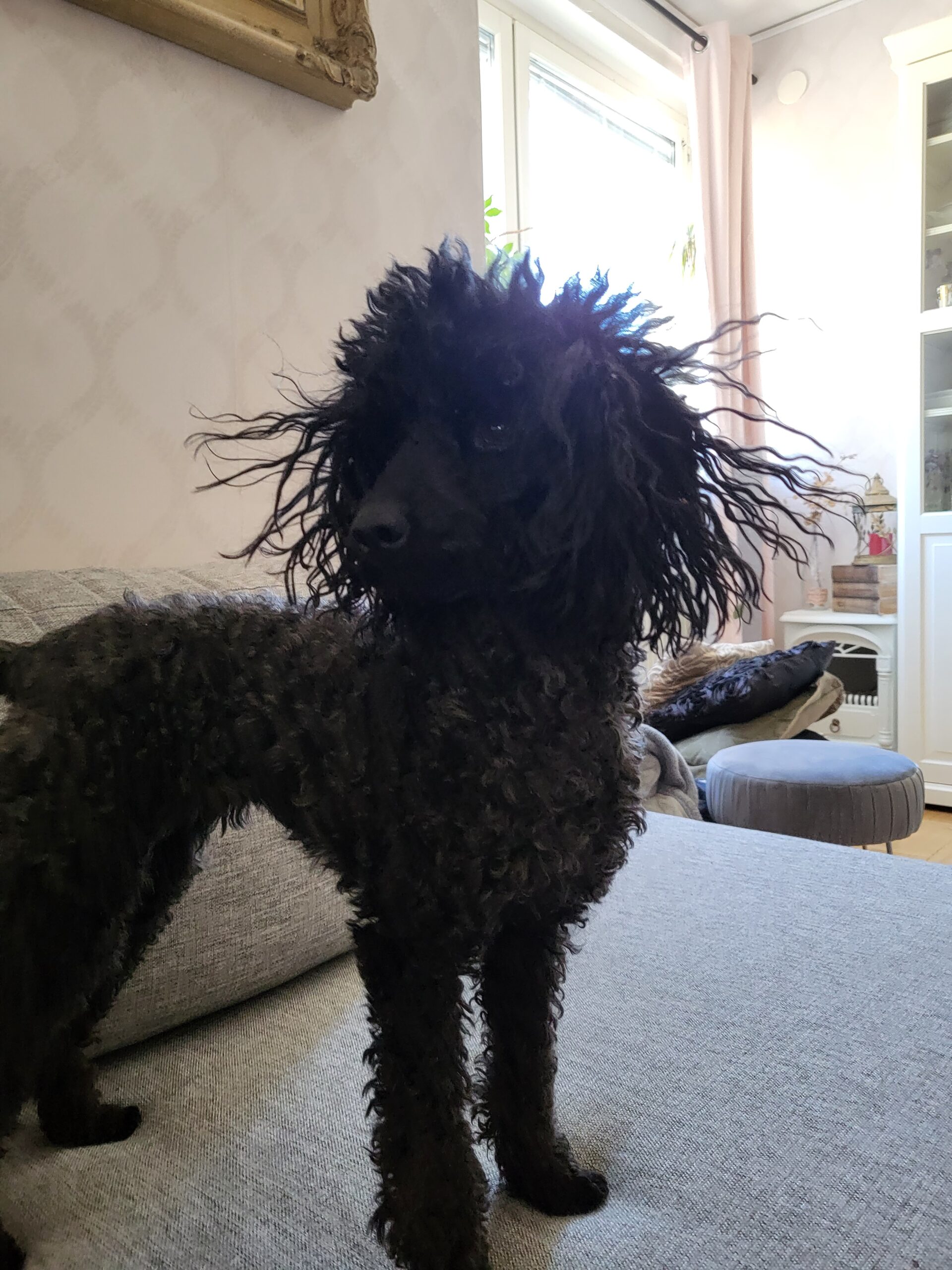 20230403 162047 scaled