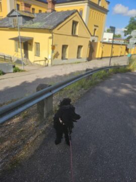 20250725 095729