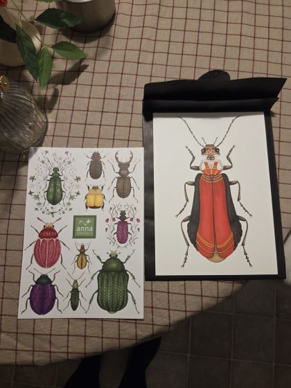 20251122 210230355646423421709765