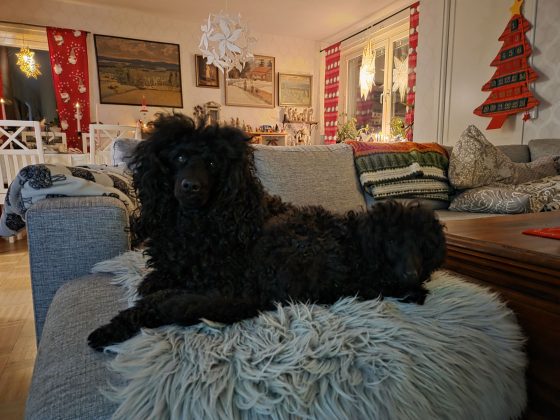 20251217 1818284475926523748987965