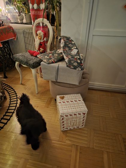 20251224 2121292853214434075572349