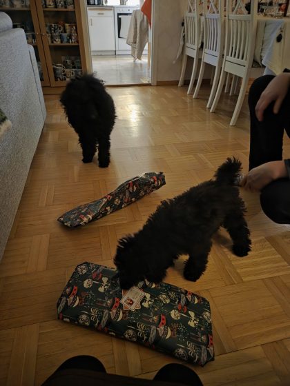 20251224 2123231932668396185140176