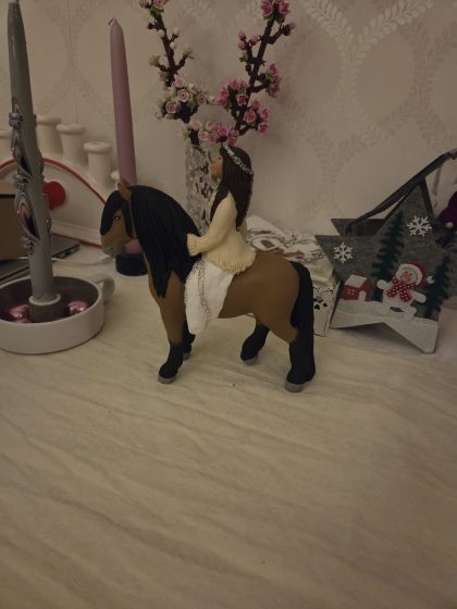 20251224 2137229141143437239552422