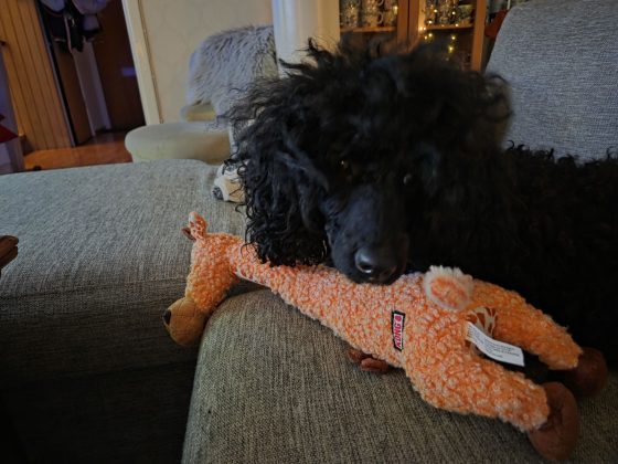 20251224 2153317763140442906054054