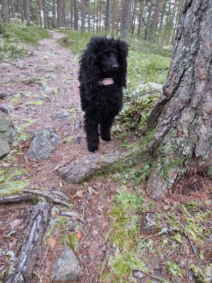 20251225 1052201025681041981907357