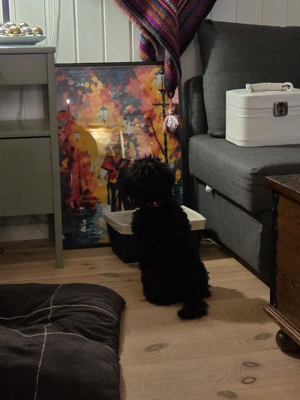 20251225 1927563157697799882139375