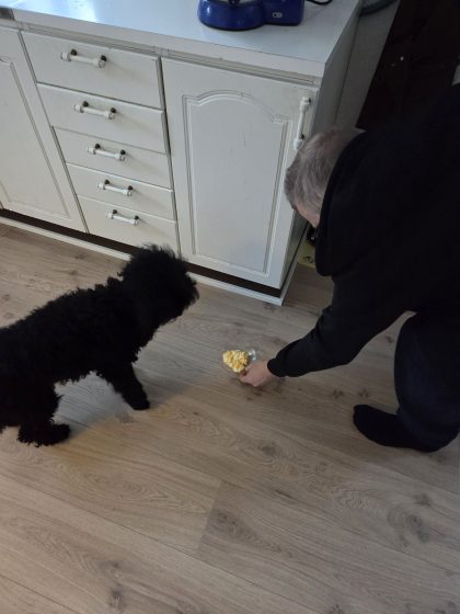 20260105 1010315859387469152364911