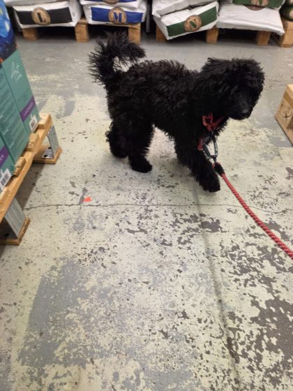 20260105 1337521256634281508488817