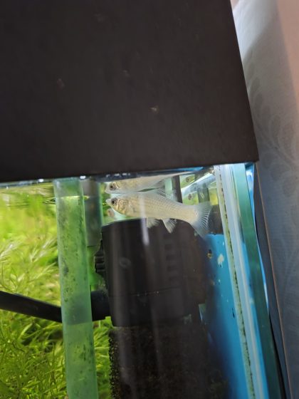 20260106 1112353165689173374125122