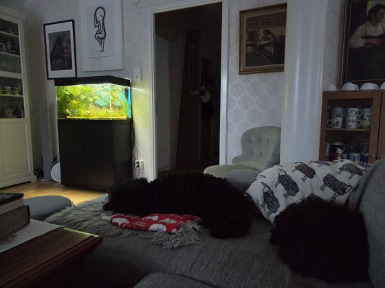 20260113 1451416765817761842789481