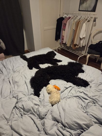 20260121 2115326593496471505326491