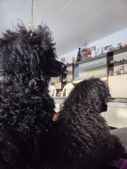 20260207 1129364084093292984533906