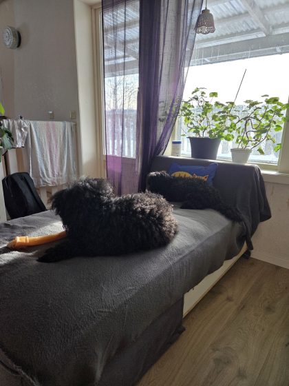 20260207 1134557477667393114887840