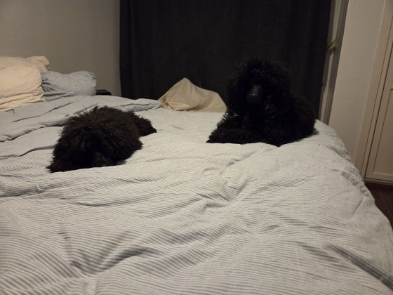 20260207 2136445123281275746676844