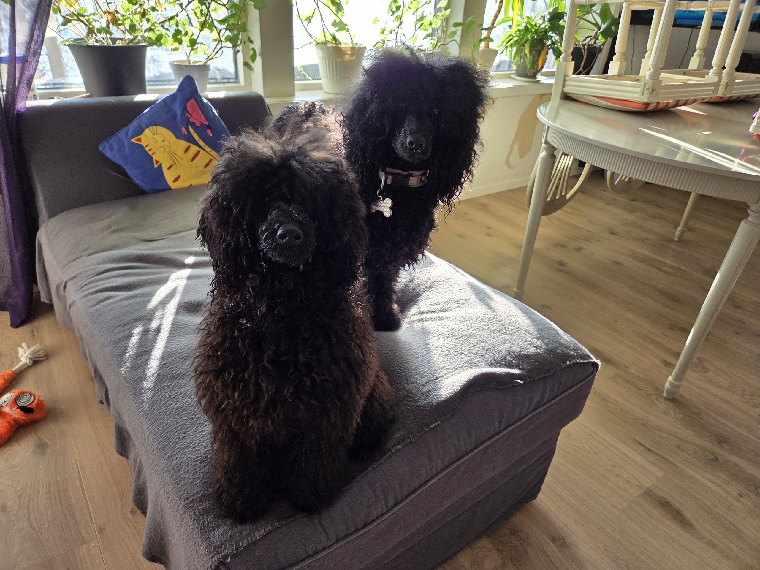 20260214 140156 scaled