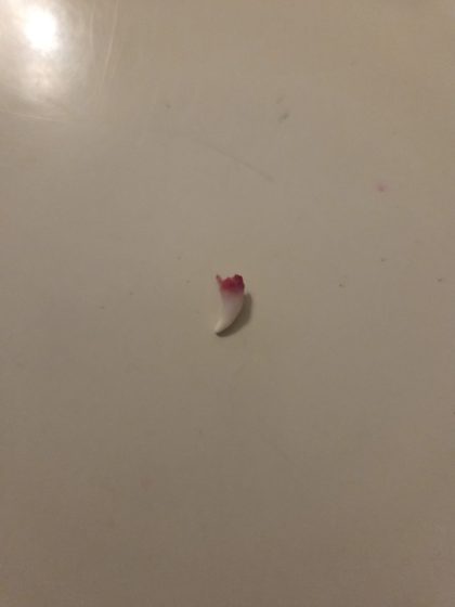 20260215 2003097760399256820763775