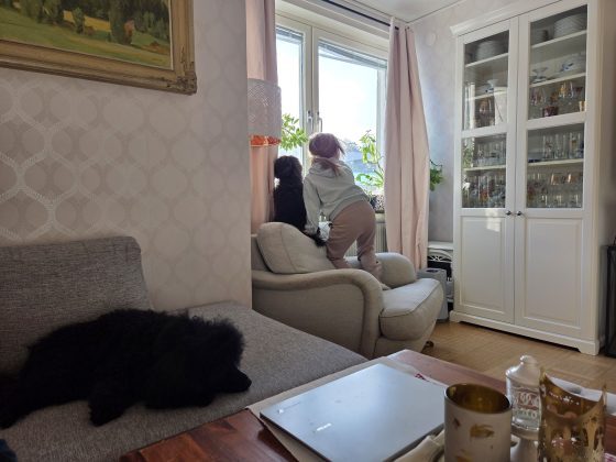 20260220 0912316598786252256587265