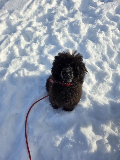 20260220 1004436166319513931988713