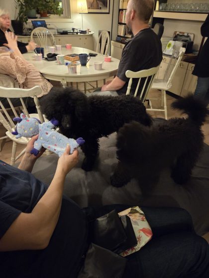 20260220 1857034170961420008111173