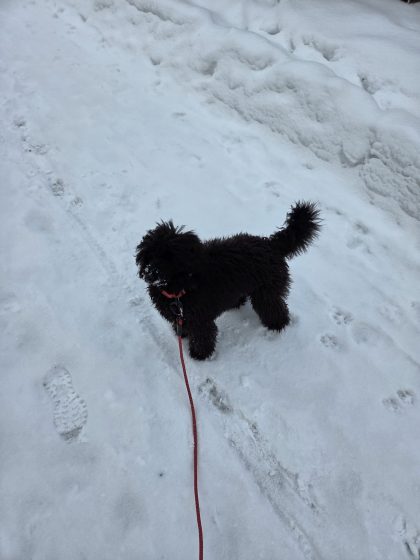 20260224 1023241336033398189682002