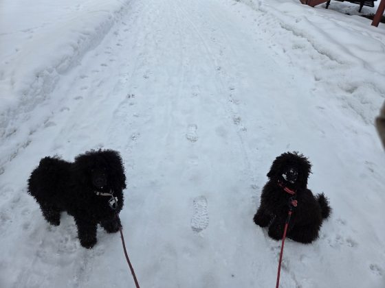 20260224 1023504164818844252967274