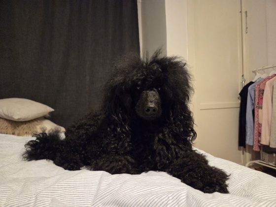 20260225 0621514364304645057070518