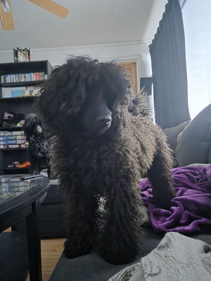 20260228 0731517622185385955189911