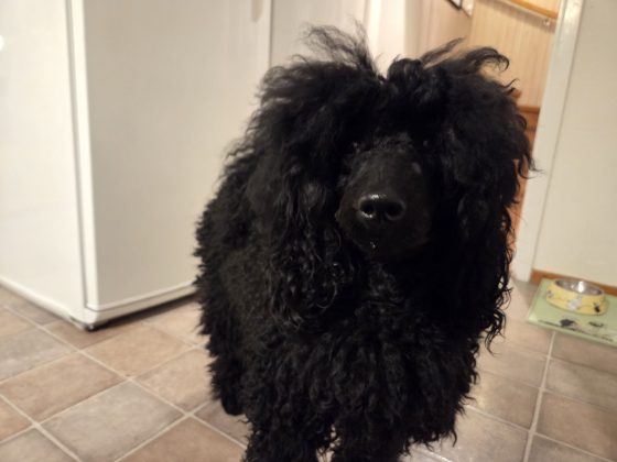 20260304 0616555778042516200816698