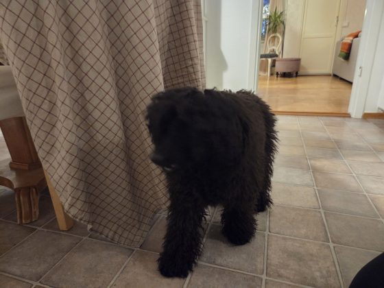 20260304 0617096412055358239245831