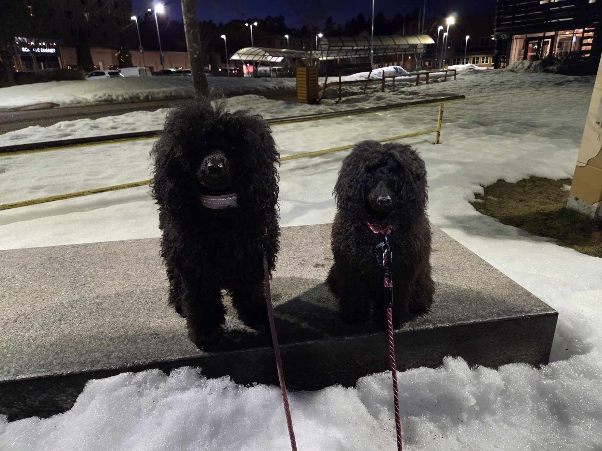 20260305 1841126032254857937648310