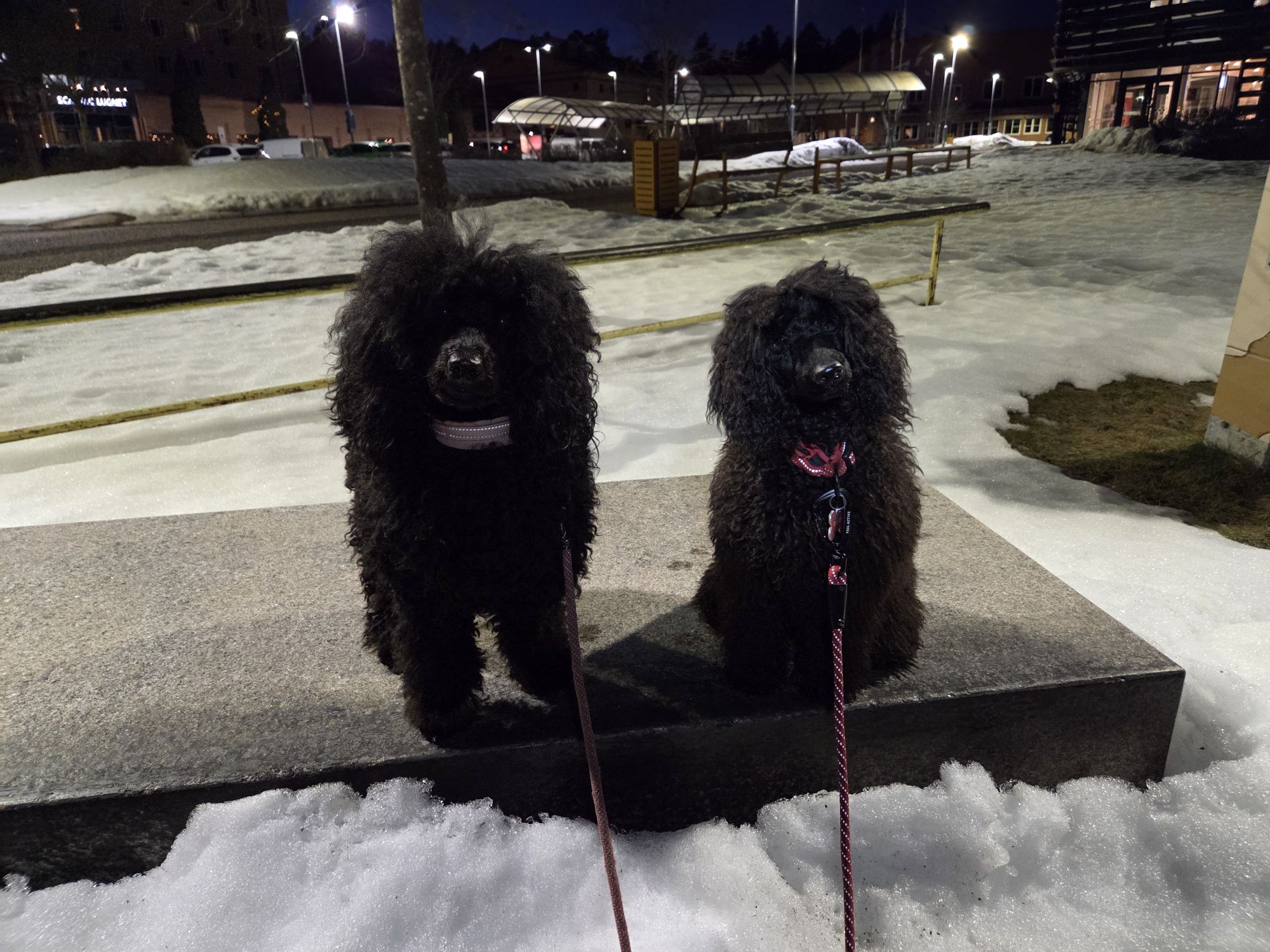 20260305 1841136610898888992691923