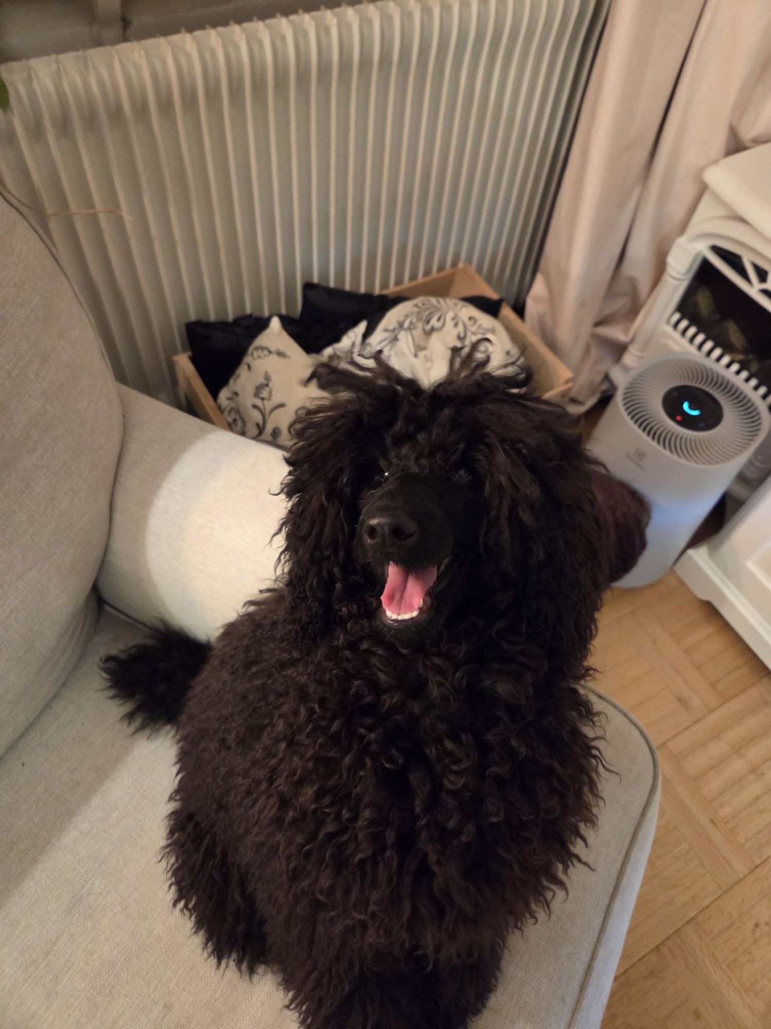 20260305 1935166396616168123634932