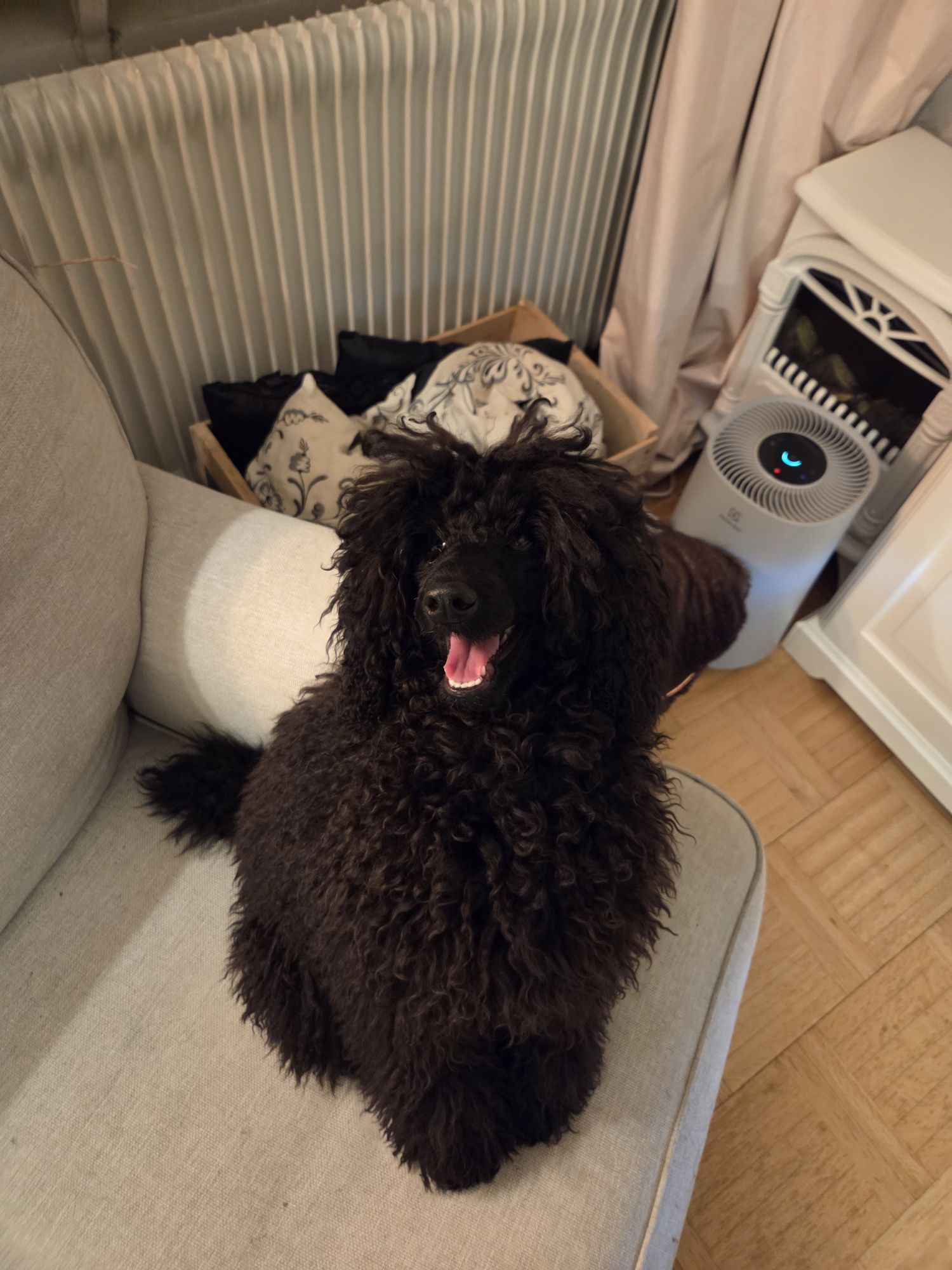 20260305 1935171390523042874747471