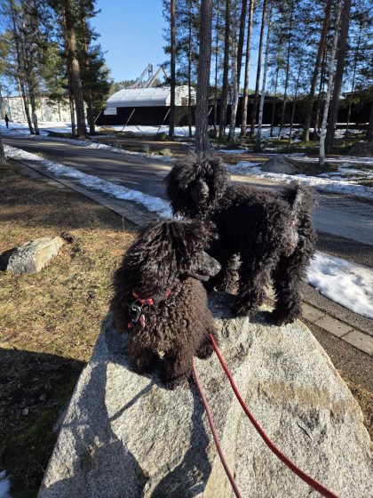 20260306 1120553426558101113087048