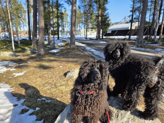 20260306 1121113003964536483501308