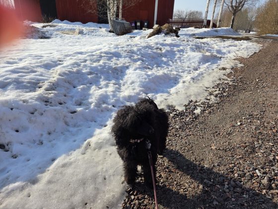 20260308 1047162465629267681825063