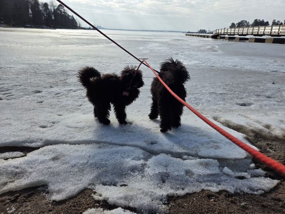 20260308 120943668402630340765567