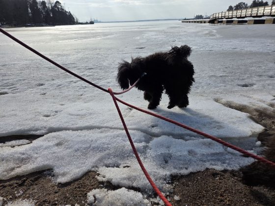 20260308 1209455269654773669655894