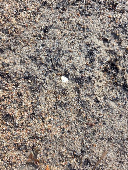 20260308 1210036728774824130104508