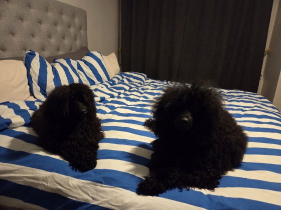 20260310 2036417584784131447546765