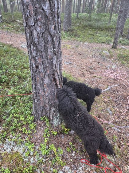 20260314 1526361684527712287244002