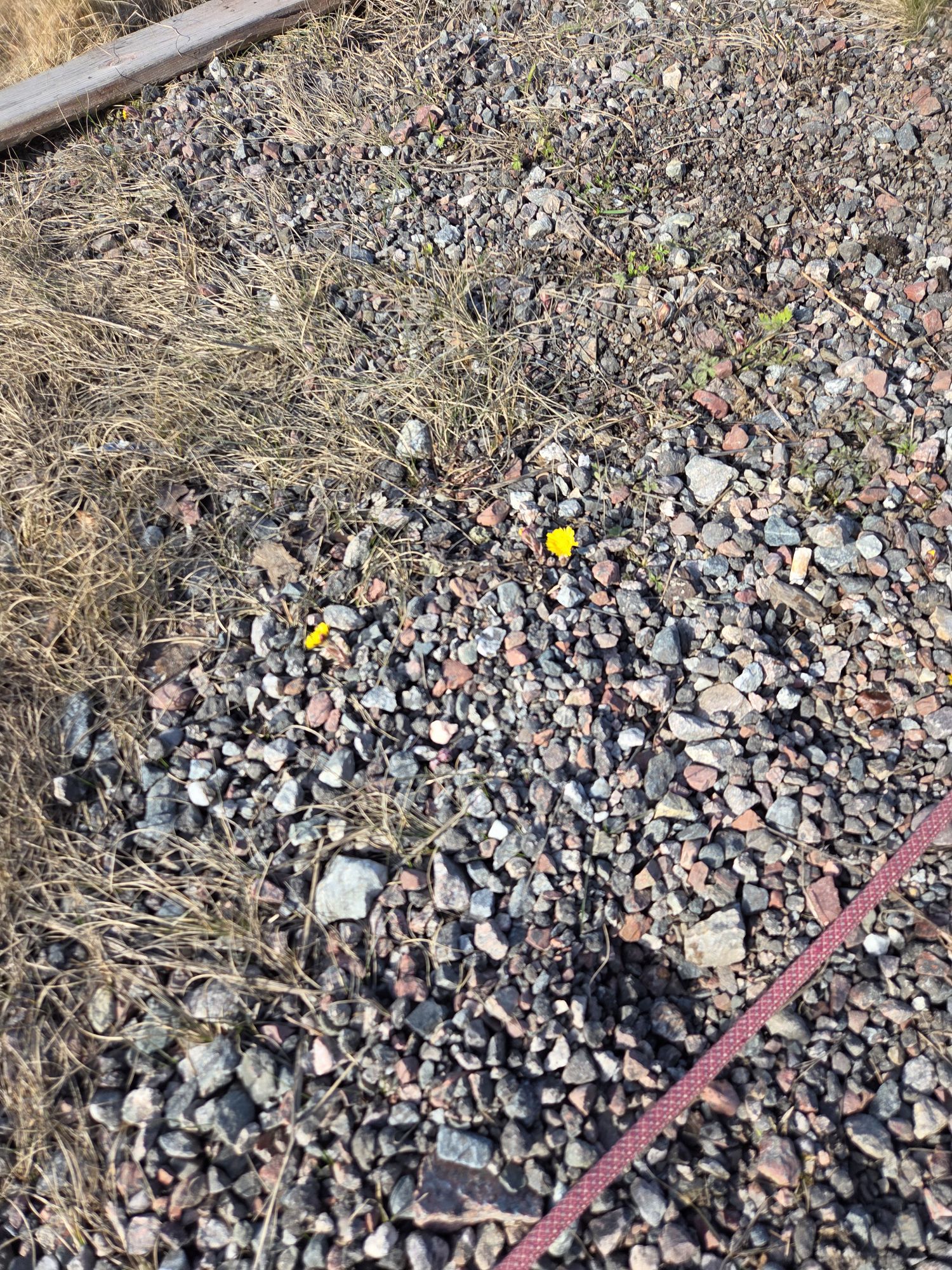 20260320 1120486158890059127878284 1