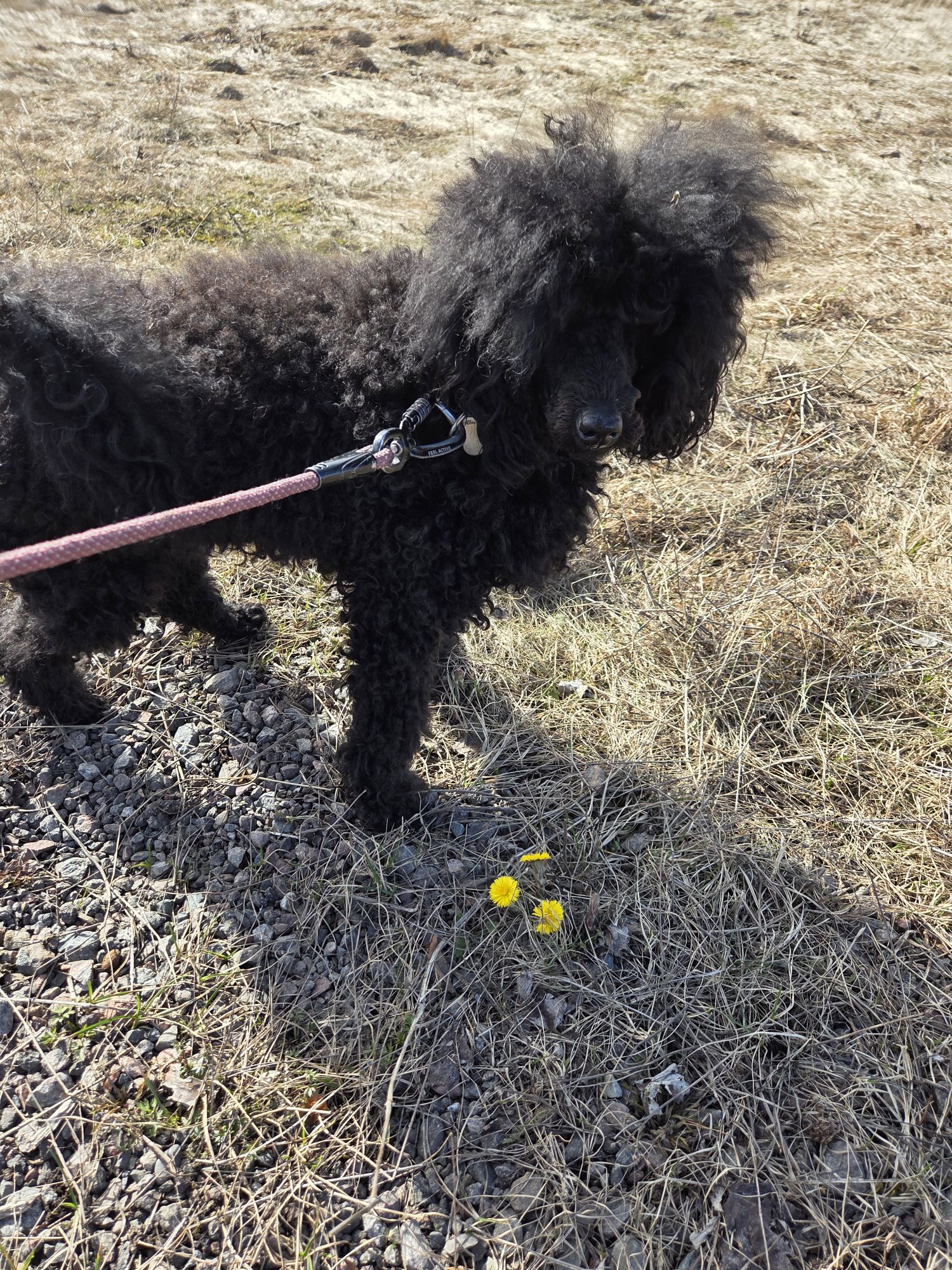 20260320 1121128202024474704340304