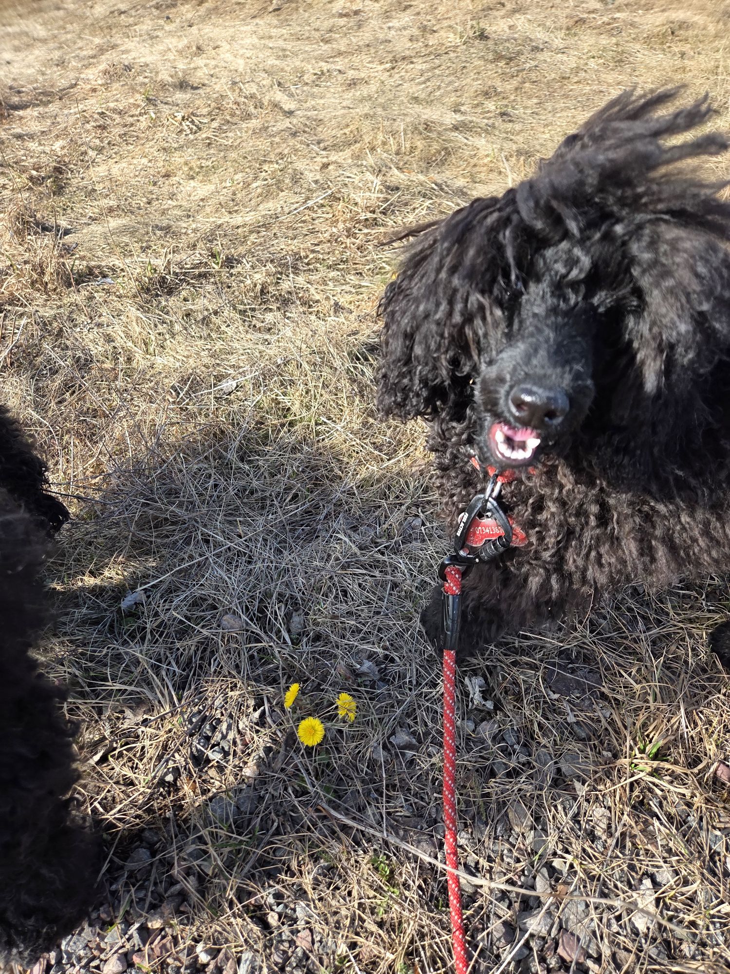 20260320 1121171398268585181005243