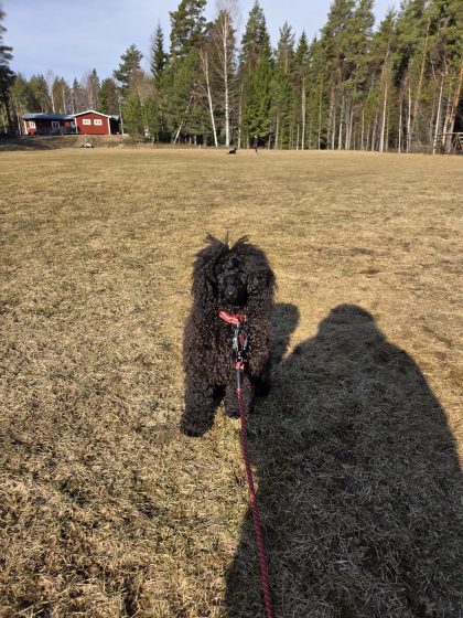 20260322 1026086448010025255452037