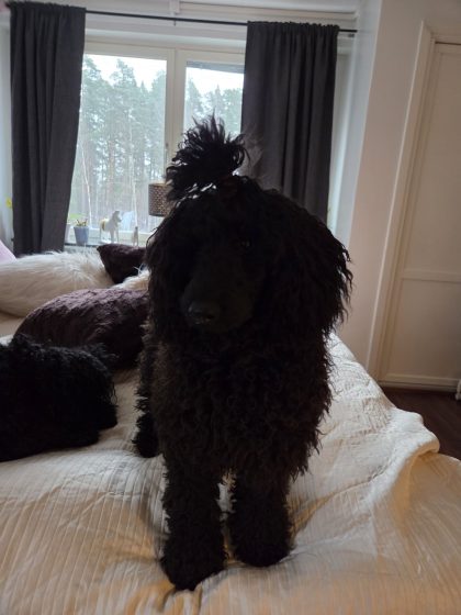 20260325 0613577020630594395849284