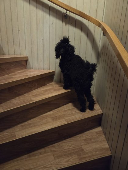 20260325 0620372854411241776542903